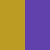 Gold/Purple  +