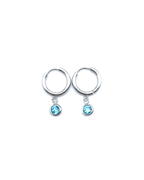 STAINLESS STEEL EARHOOP