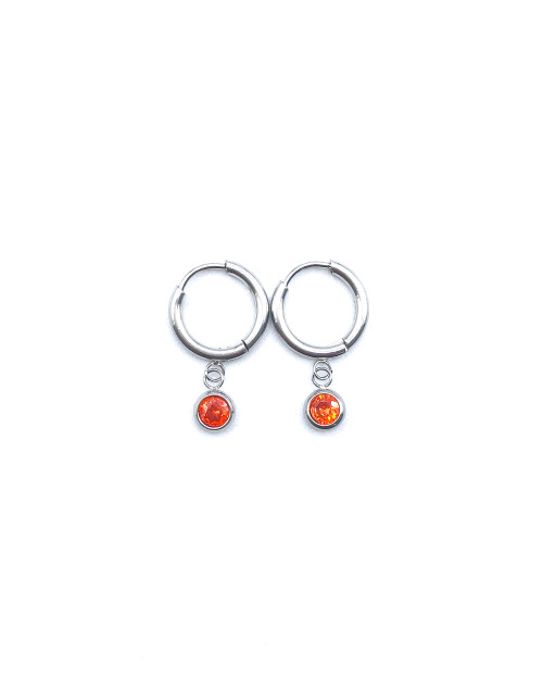 STAINLESS STEEL EARHOOP