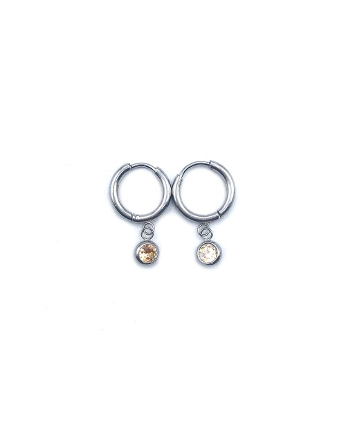 STAINLESS STEEL EARHOOP