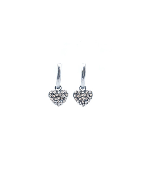 STAINLESS STEEL EARING