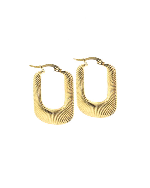 Stainless Steel Earing 