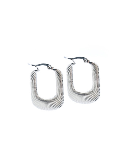 Stainless Steel Earing 