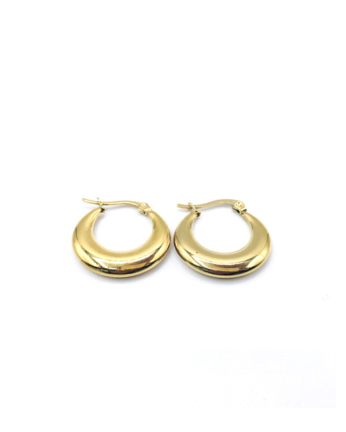 Stainless Steel Earing 