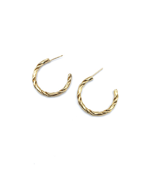 Stainless Steel Earing 