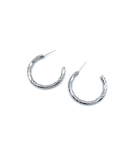 Stainless Steel Earing 