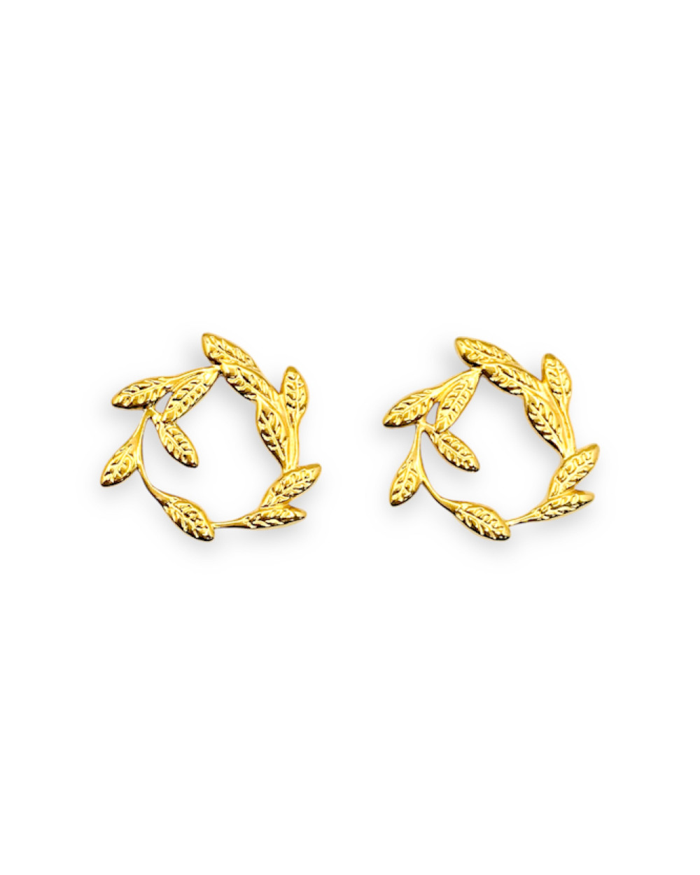 Stainless Steel Earing 