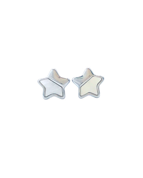 Stainless Steel Earing 