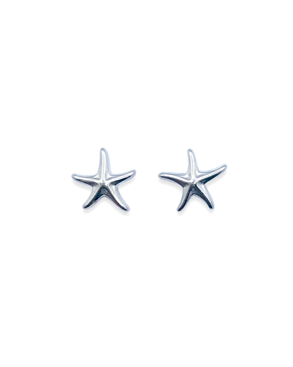 Stainless Steel Earing 