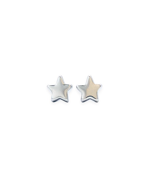 Stainless Steel Earing 