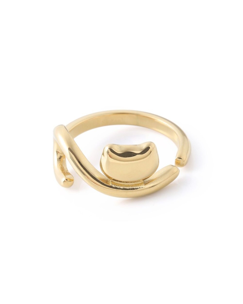 Stainless Steel Ring