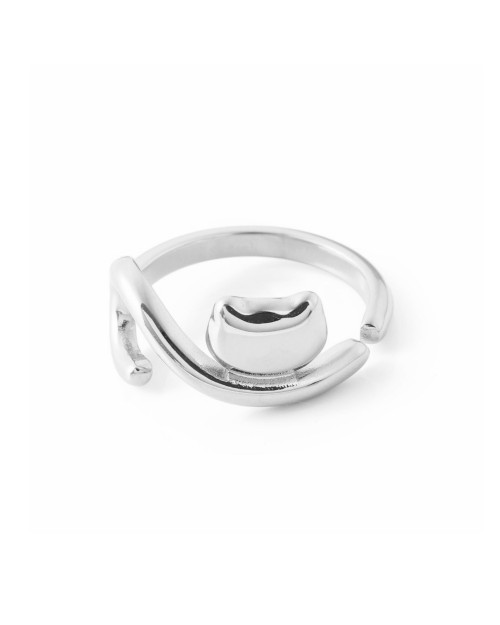 Stainless Steel Ring